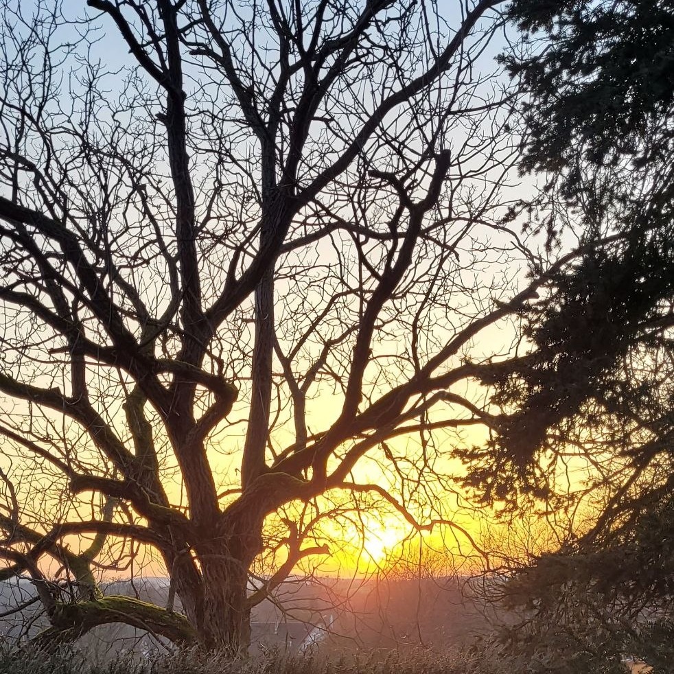 Photo de Georges EYER