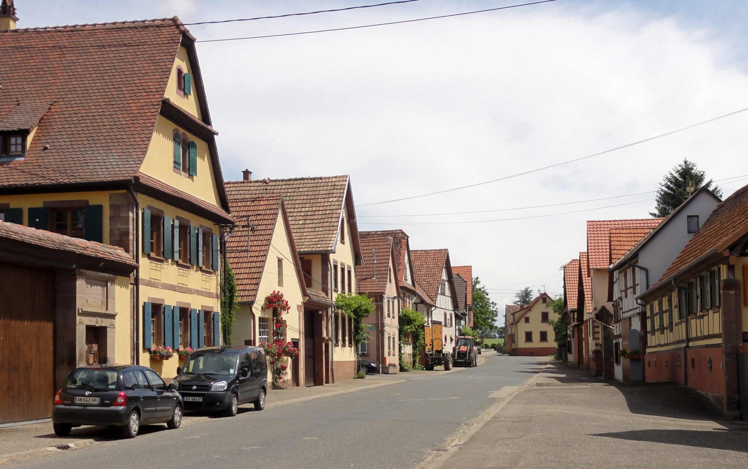 Photo de Marlise KOEHL